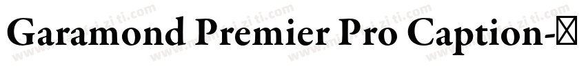 Garamond Premier Pro Caption字体转换